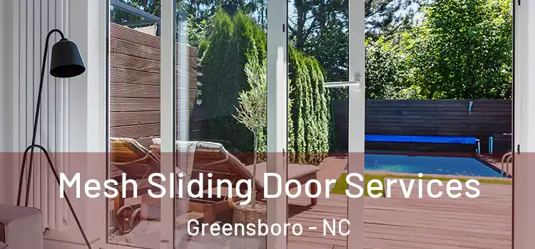 Mesh Sliding Door Services Greensboro - NC